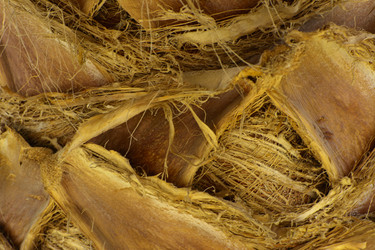 Similar image 19200471