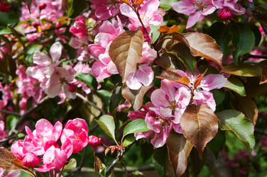 Similar image 19742322