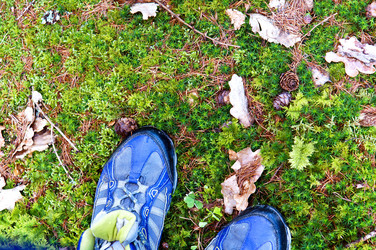 Similar image 19196005