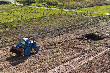 Similar image 19196010