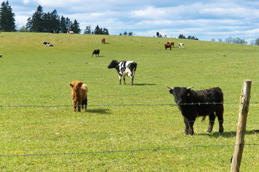 Similar image 19742401