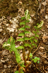 Similar image 19742413