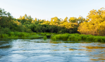 Similar image 19195535