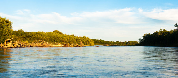 Similar image 19195539