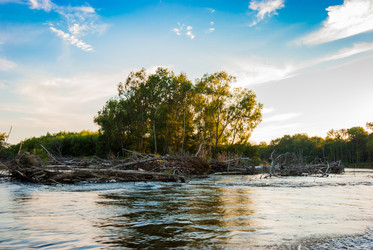 Similar image 19195542