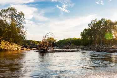 Similar image 19195543