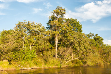 Similar image 19195545