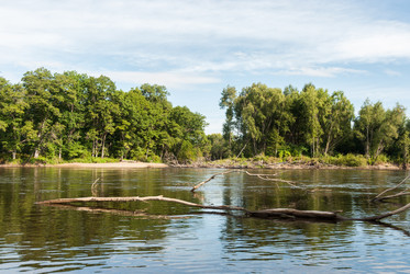 Similar image 19195572