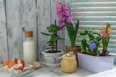 Similar image 19516672