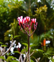 Similar image 19195491