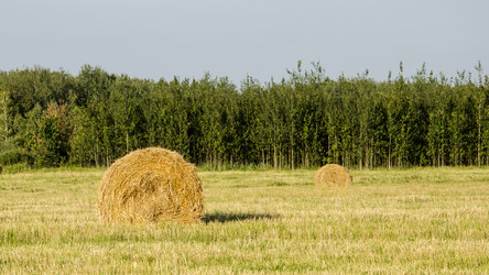 Similar image 19193055