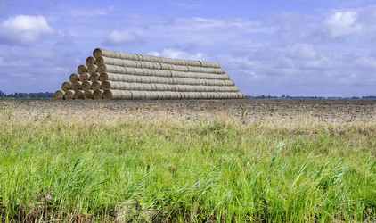 Similar image 19193130