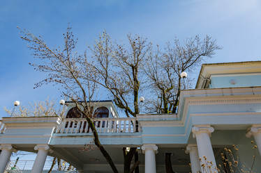 Similar image 19196158