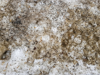 Similar image 19196185