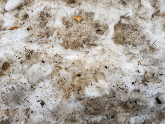 Similar image 19196207