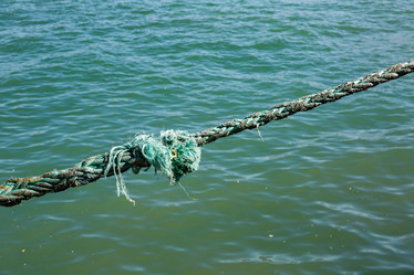 Similar image 19196224