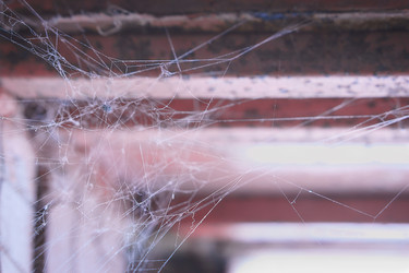 Similar image 19193200