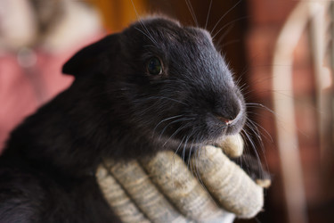 Similar image 19193211