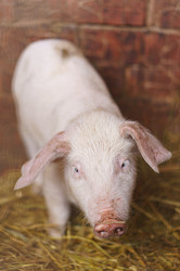 Similar image 19193215