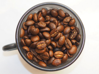 Similar image 19606719