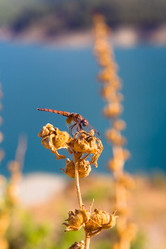 Similar image 19197063