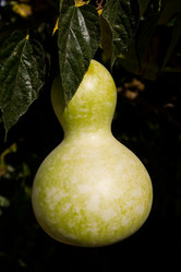 Similar image 19199654