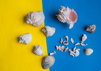 Similar image 19606708