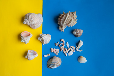 Similar image 19606711