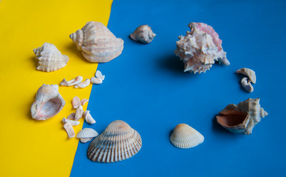 Similar image 19606731