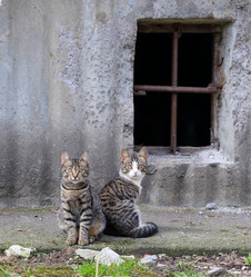 Similar image 19195336