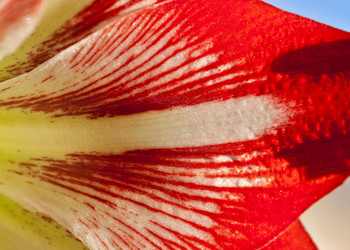 Similar image 19195691