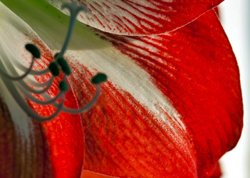 Similar image 19195709