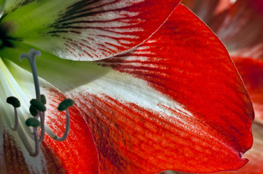 Similar image 19195711