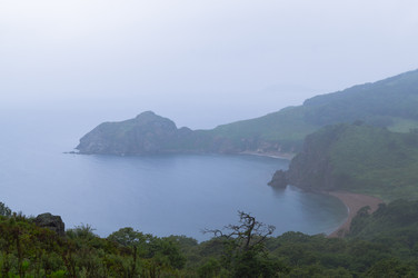 Similar image 19742165