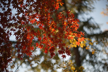 Similar image 19742414