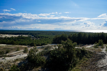 Similar image 19775161