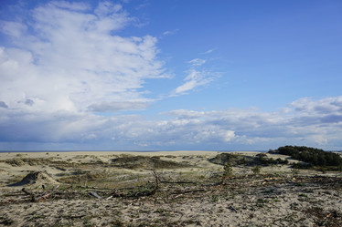 Similar image 19195766