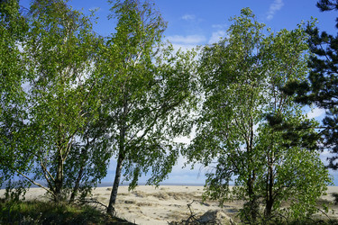 Similar image 19742417