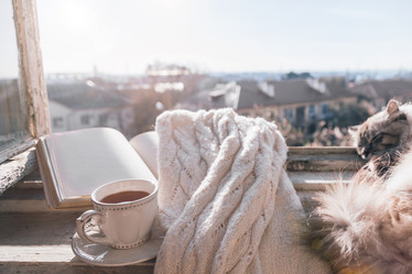 Similar image 19776239