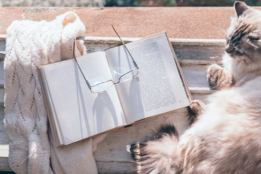 Similar image 19776246