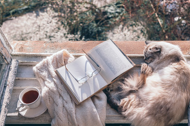 Similar image 19776247