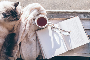 Similar image 19776251