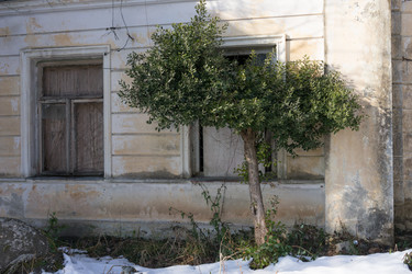 Similar image 19742429