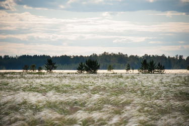 Similar image 19742214