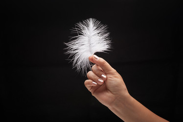 Similar image 19583913