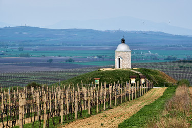 Similar image 19742715