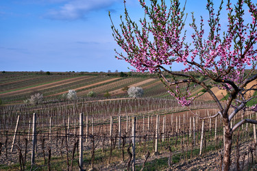 Similar image 19742727