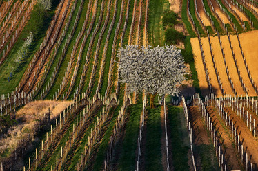 Similar image 19742730