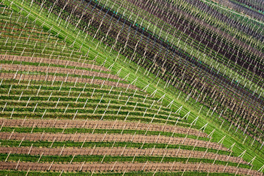 Similar image 19742717