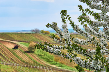 Similar image 19742719